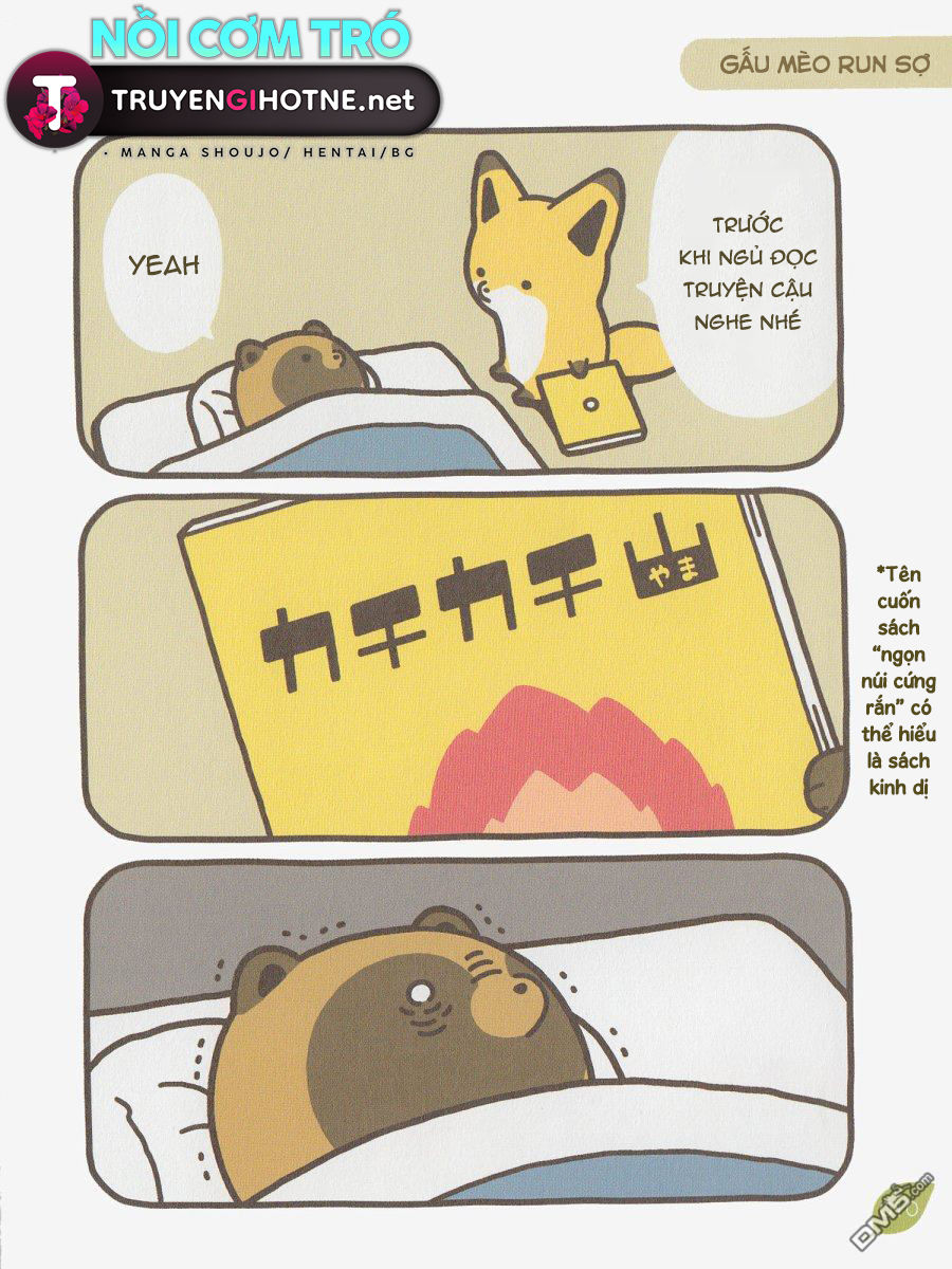 cáo và gấu mèo chapter 1 11