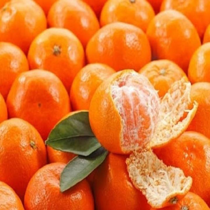 CÂY CAM ĐƯỜNG CANH