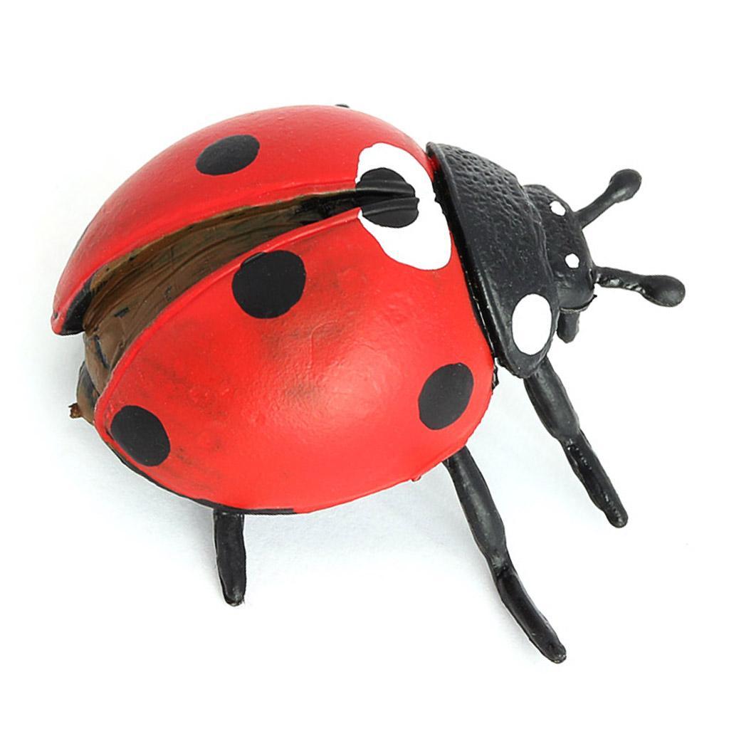 Life Cycle of A - Includes Egg, Larva, Pupa, And Educational