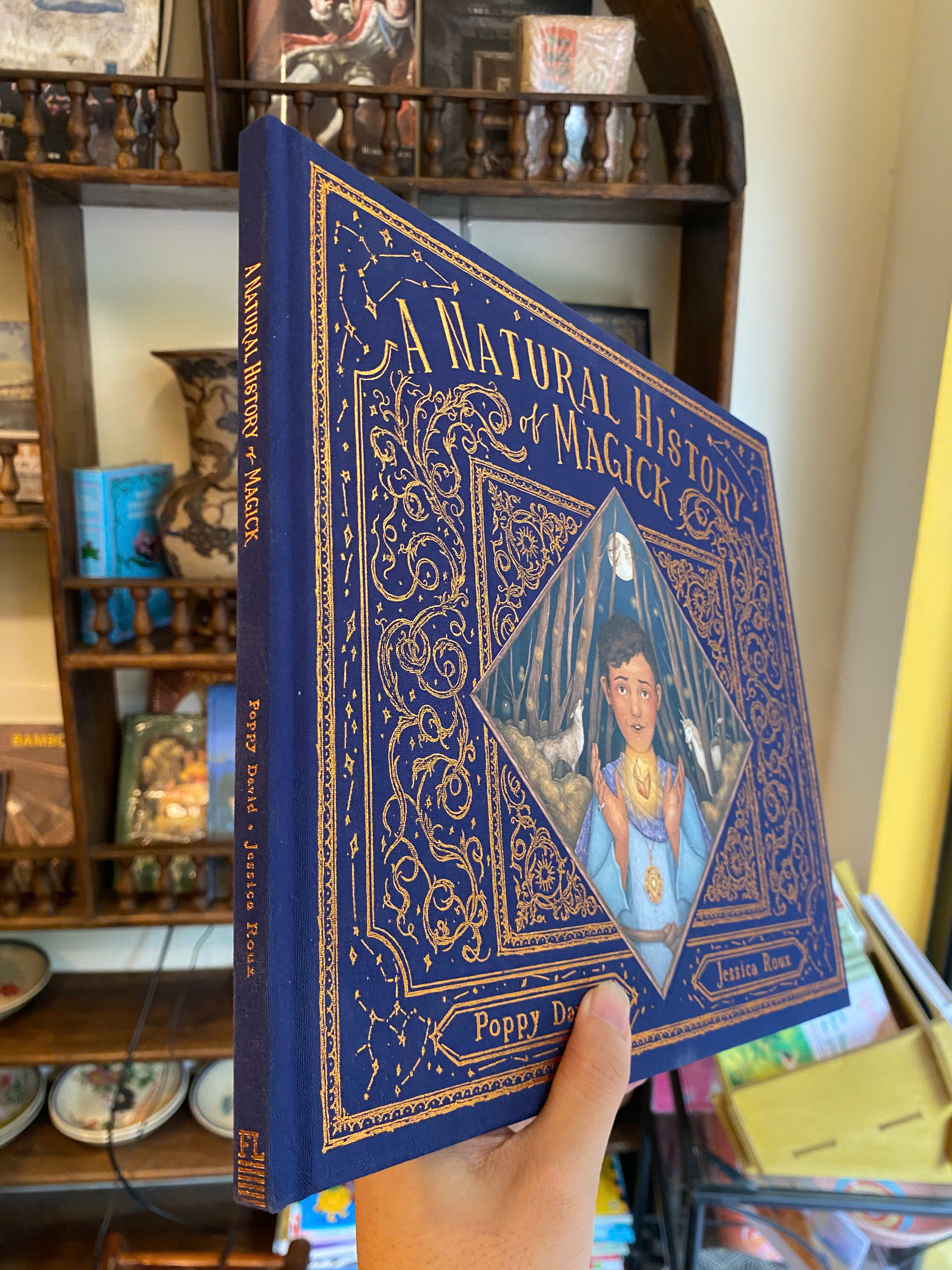 Sách - A Natural History of Magick (Folklore Field Guides) by Poppy David | Children's Picture Book