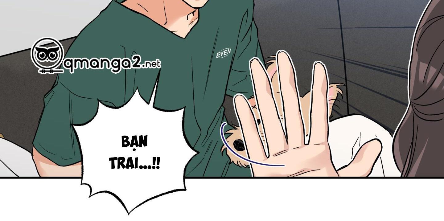 gâu gâu! chapter 50 45