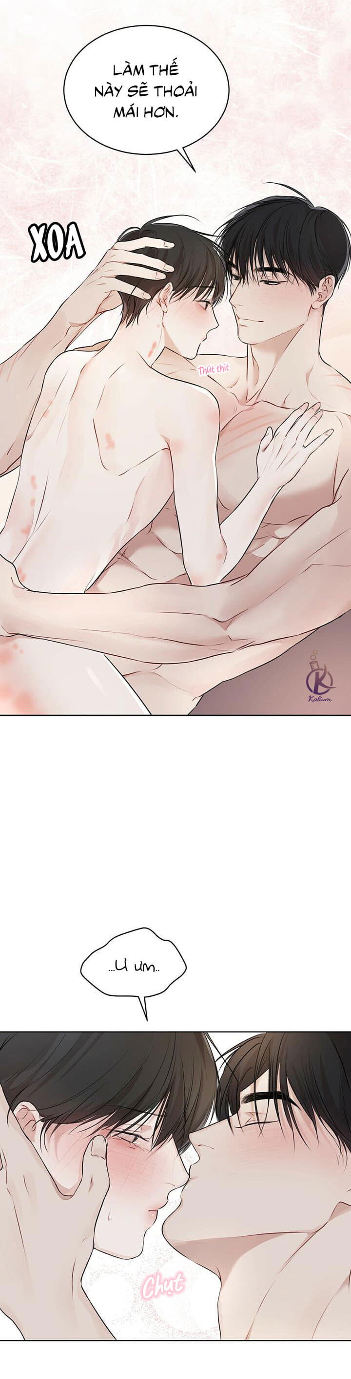 hình thái khởi sinh chapter 29 32