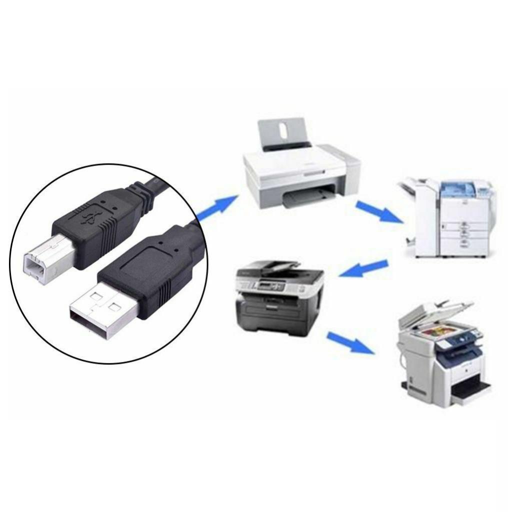 USB2.0 Cable Printer Lead Type A to B Male High Speed Cable  Cord