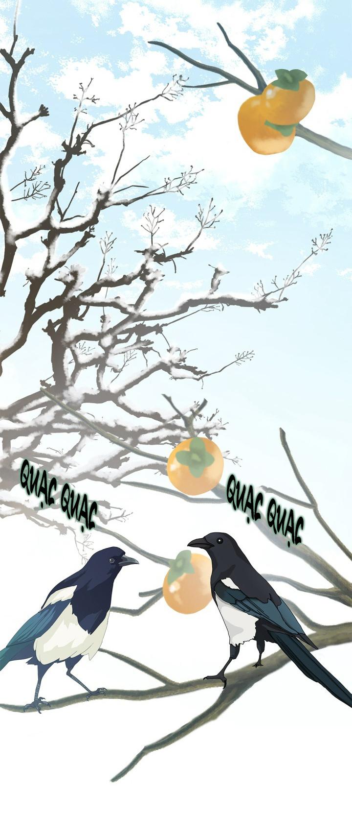 hôn nhân bị đánh cắp của hồ ly chapter 32 23