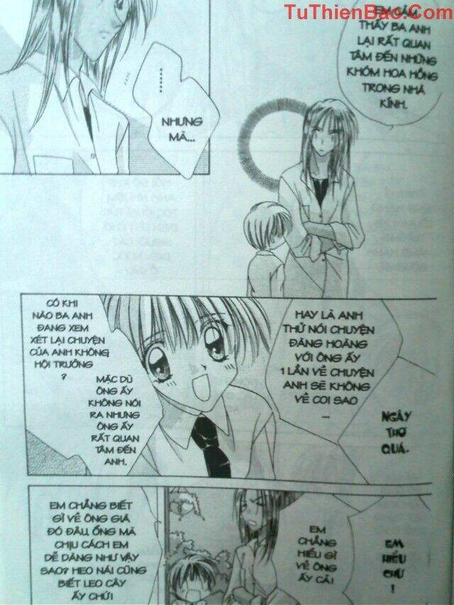 nguyện ước dưới ánh sao chapter 8 55