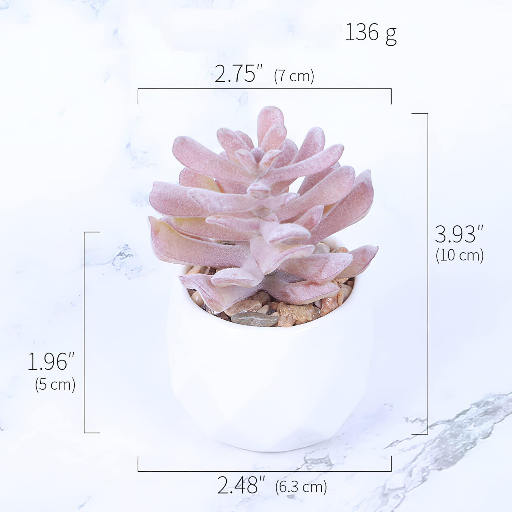 4 CÁI Cây mọng nước nhân tạo, Chậu cây giả mini có chậu trắng, Cây xanh giả trang trí bàn, nhà, văn phòng, trang trí ban công