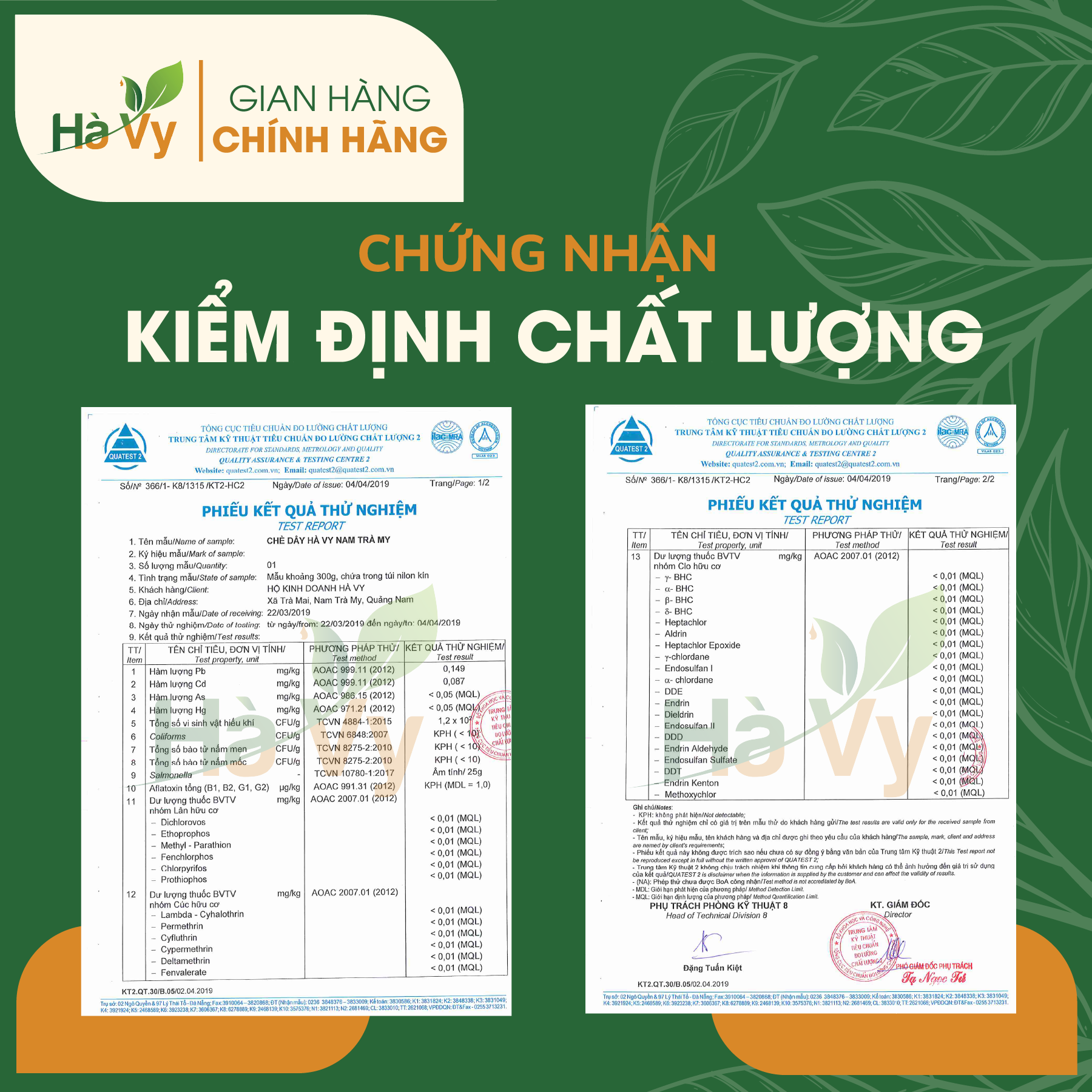 Combo Trà Rau Má Rừng &amp; Trà Dây Nam Trà My Hà Vy hỗ trợ làm đẹp da, mát gan, hỗ trợ cải thiện sức khoẻ dạ dày, tá tràng hiệu quả (set 2 hộp trà túi lọc)