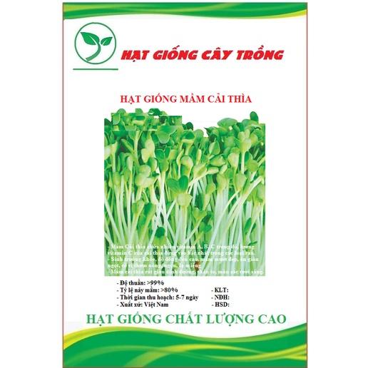 Hạt giống mầm cải thìa  CT539 - Gói 20gram