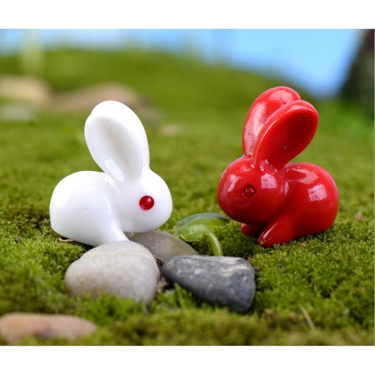 Combo đôi thỏ ngọc Trắng và Đỏ siêu cute trang trí tiểu cảnh