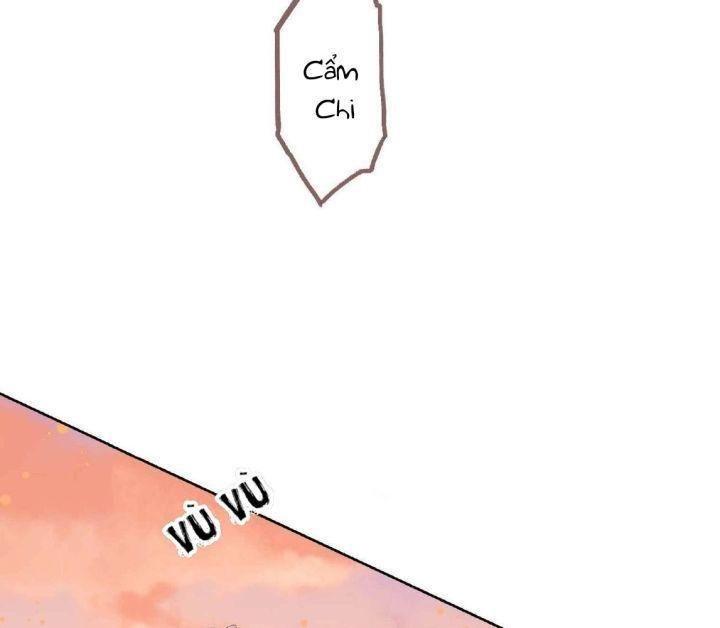 lấy thiên hạ làm sính lễ: vương phi lại trêu ta chapter 3 3