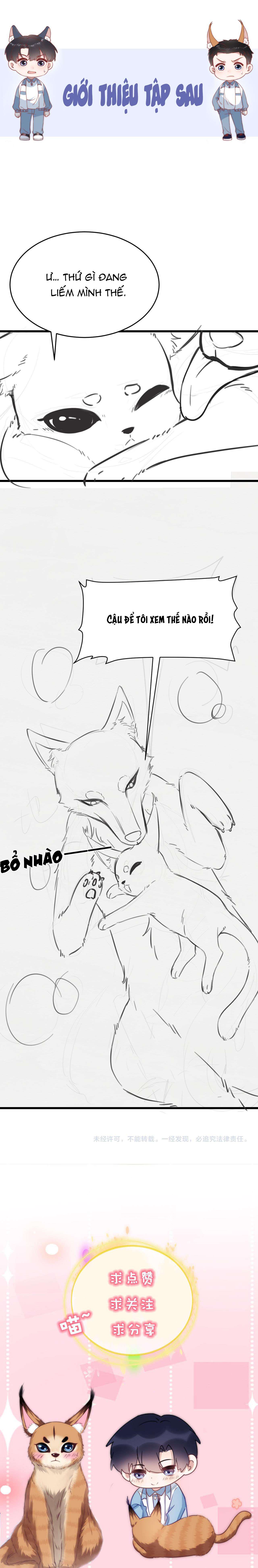 mèo hoang nhỏ của học bá quá chọc người rồi chapter 34 6