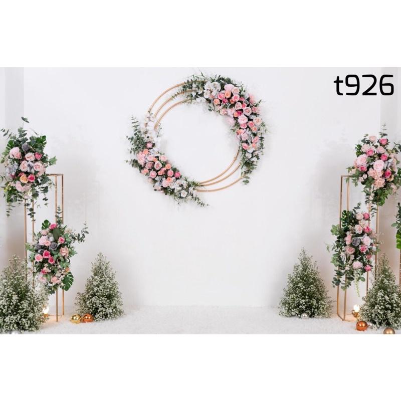 Phông nền chụp ảnh mã T926