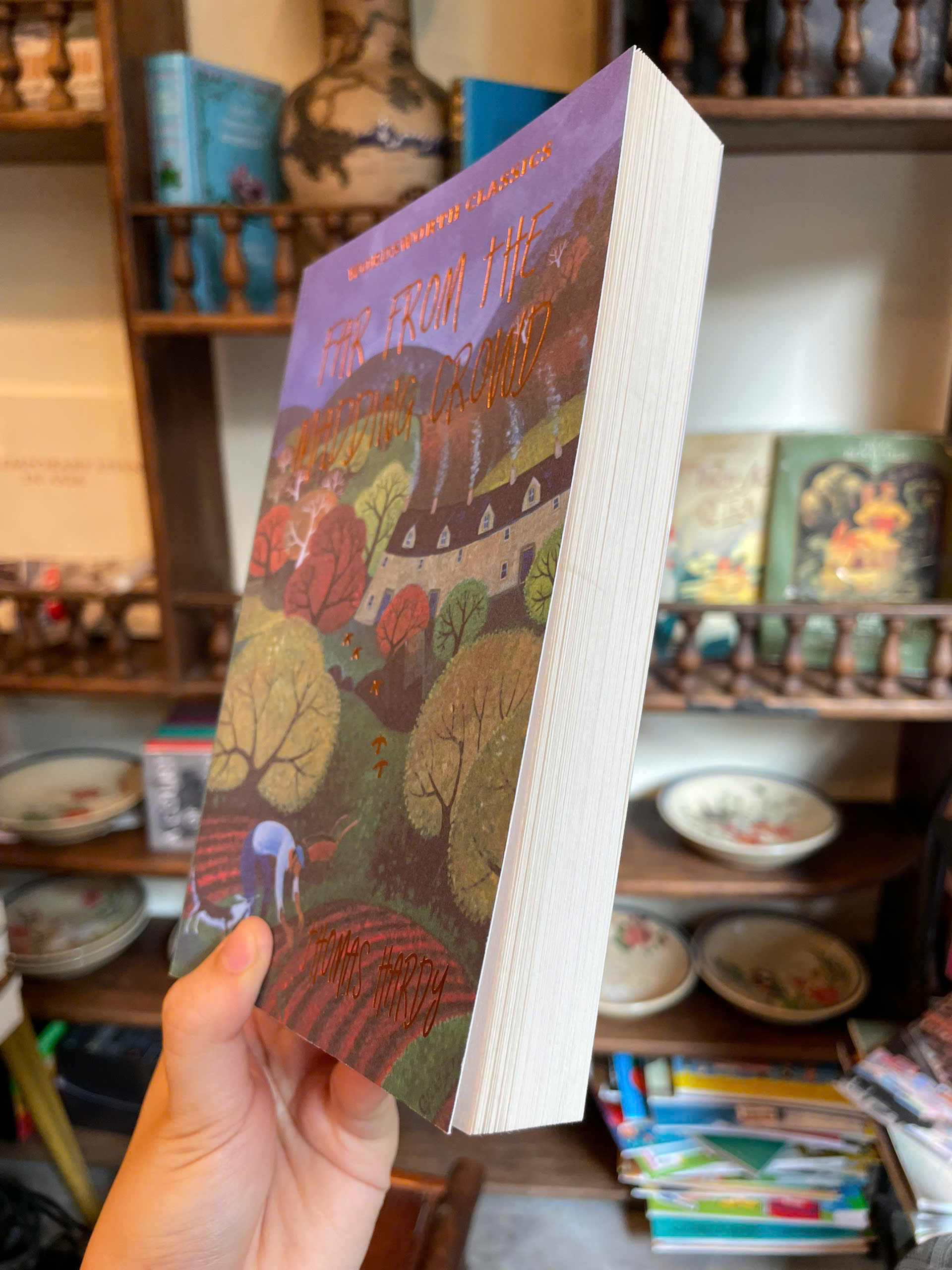 Sách - Far From The Madding Ground by Thomas Hardy | Classic Novel / Ngoại văn Nhập khẩu