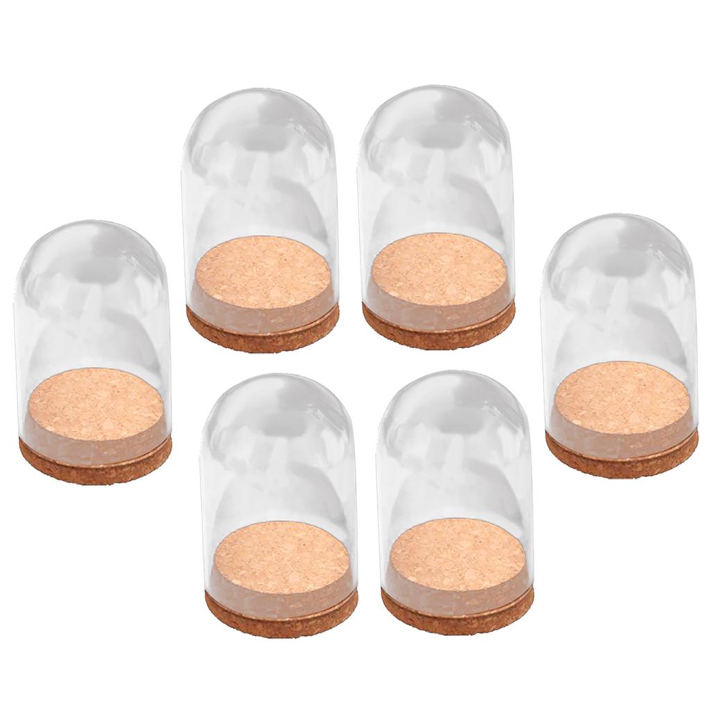 Phép Lạ Chiếu 6 Loa Xmini Thủy Tinh Trong Bán Cầu Bao Dome Cabochon Với Nút Chai Trang Trí Bàn