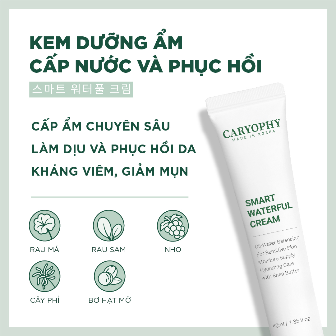 Kem dưỡng cấp nước phục hồi Caryophy Smart Waterful Cream 40ml