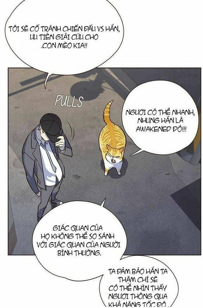 biến thân thành mèo chapter 5 45