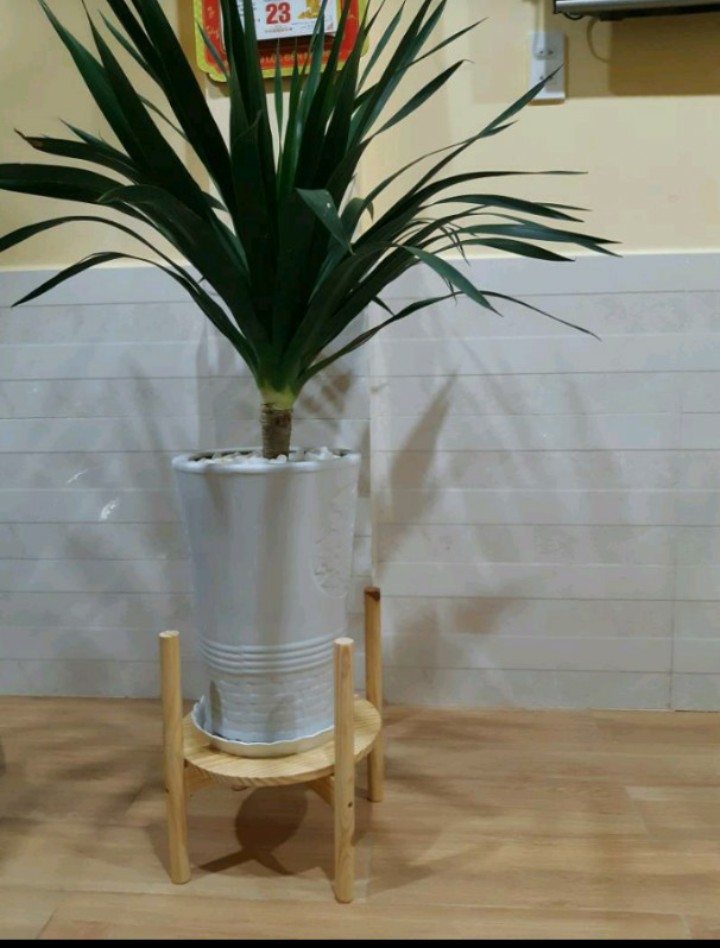 Kệ Giá Gỗ Để Chậu Hoa/Đôn Gỗ Để Chậu Hoa Cây Cảnh Màu Trắng Loại To Kích Thước Cao 35cm x Rộng 36cm, lọt lòng 30,5cm