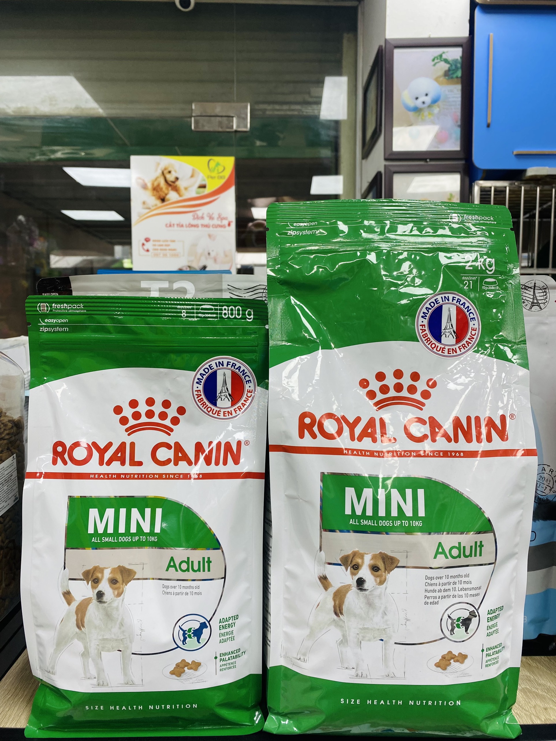 hạt khô Royal Canin Mini Adult cho chó