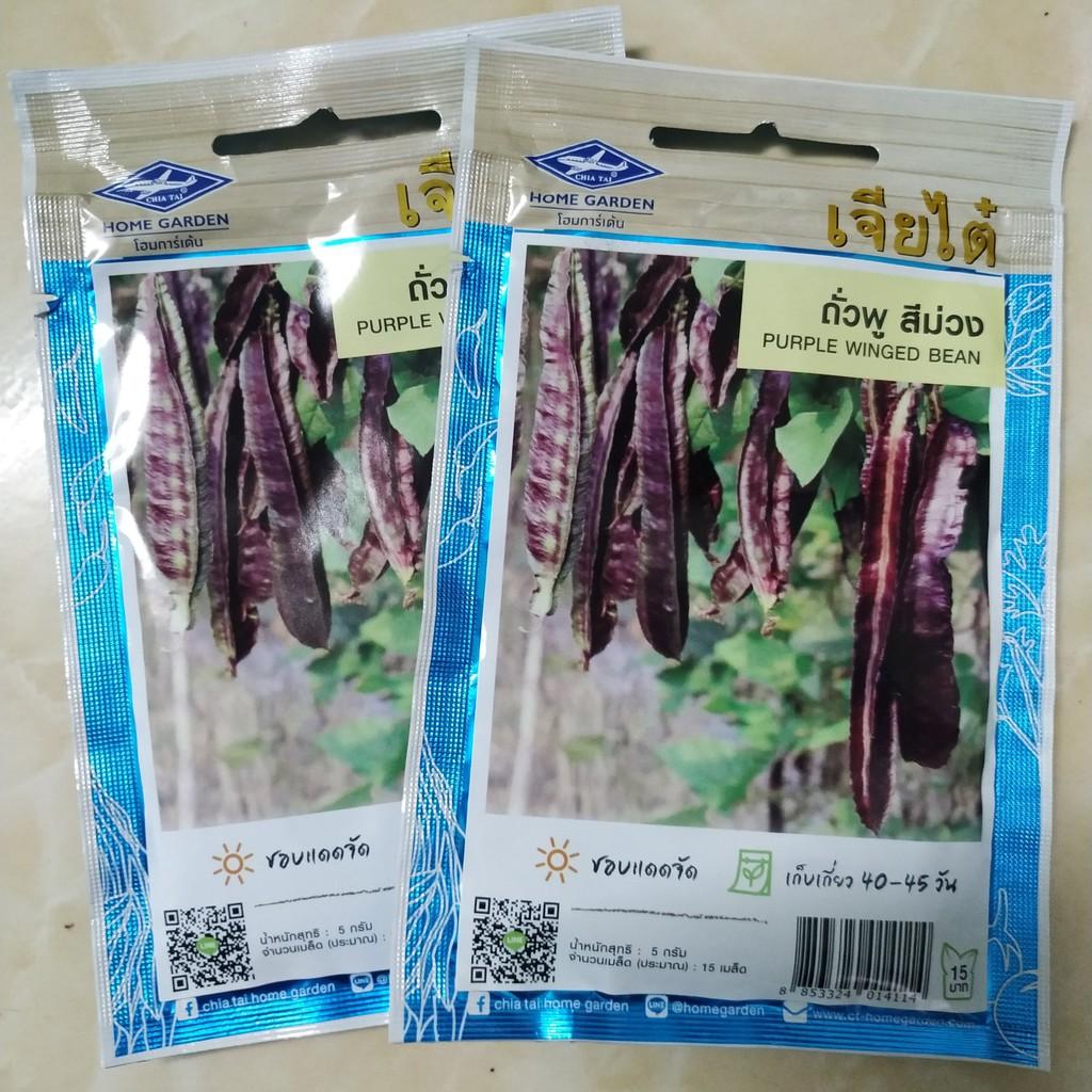 HẠT GIỐNG ĐẬU RỒNG TÍM THÁI LAN