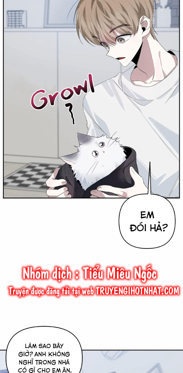 đàn anh xấu xa của tôi chapter 35 12