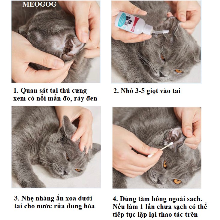 Dung Dịch Nước Rửa Tai Vệ Sinh Tai Cho Chó Mèo Bioline Ear Care 50ml