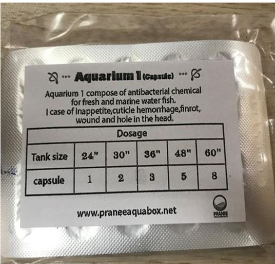 Viên con nhộng đặc trị CÁ- TÉP CHẾT LAI RAI AQUARIUM-1 Thái Lan.