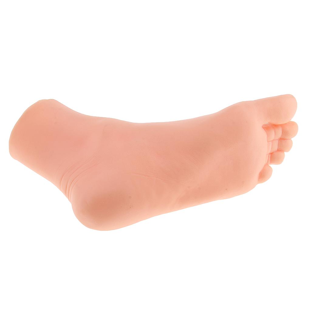 5x21.5cm Female Left Foot Mannequin Dummy Mould Sandal Shoe Sock Display Model