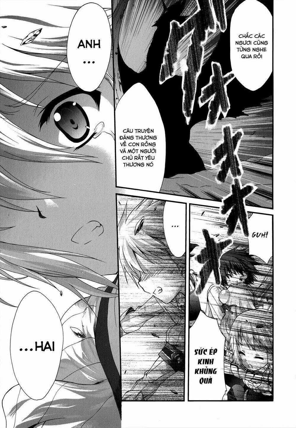 seikoku no dragonar chapter 21 28