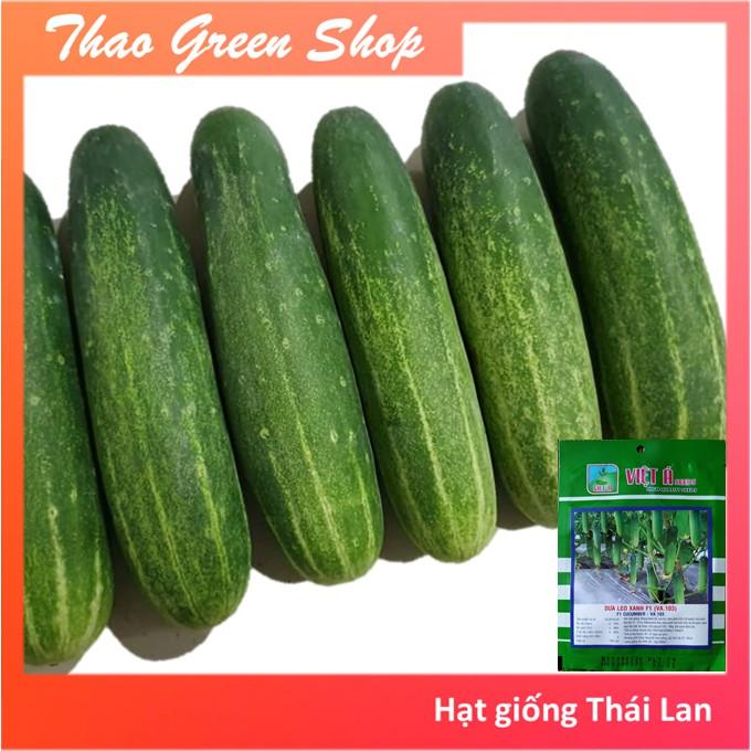DƯA LEO XANH - DƯA CHUỘT XANH