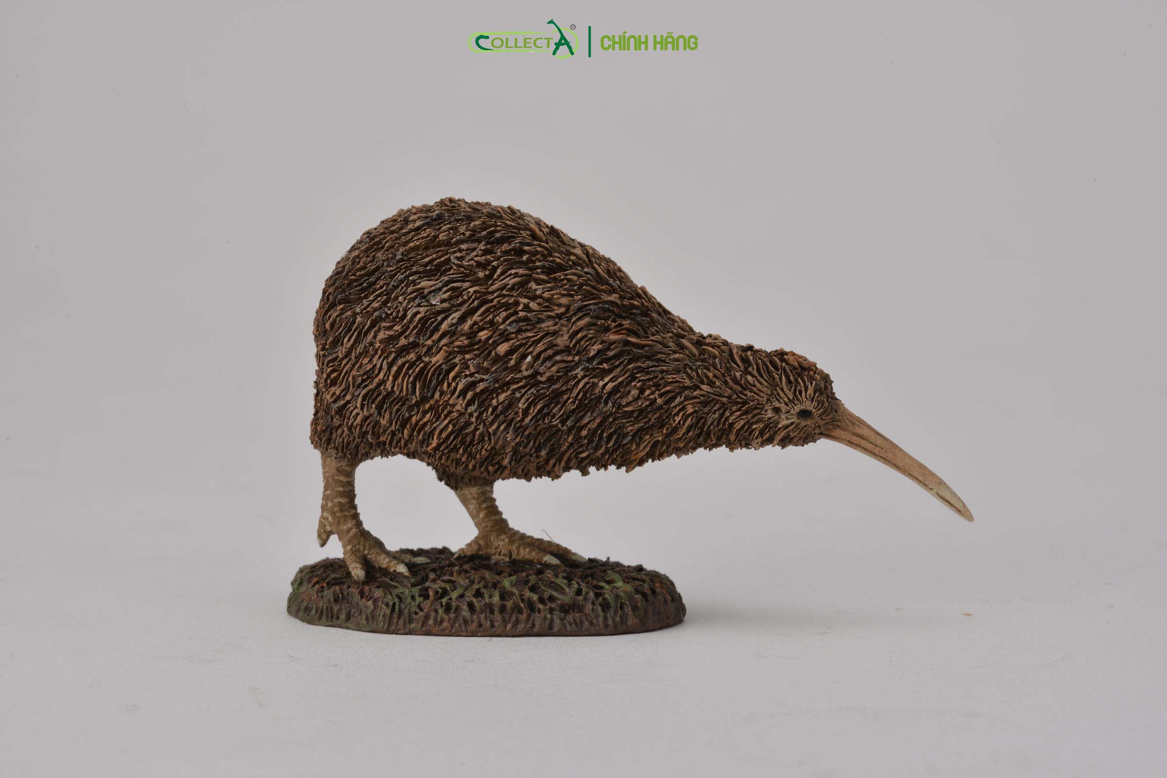 Mô hình thu nhỏ: Kiwi - Kiwi, hiệu: CollectA, mã HS 9651320[88731] -  Chất liệu an toàn cho trẻ - Hàng chính hãng