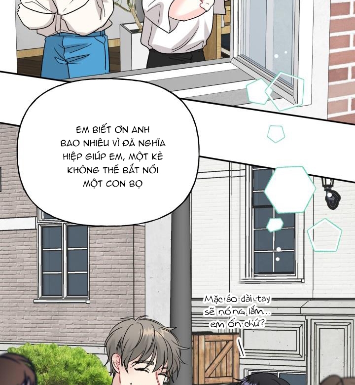 xác suất tình yêu chapter 58 61