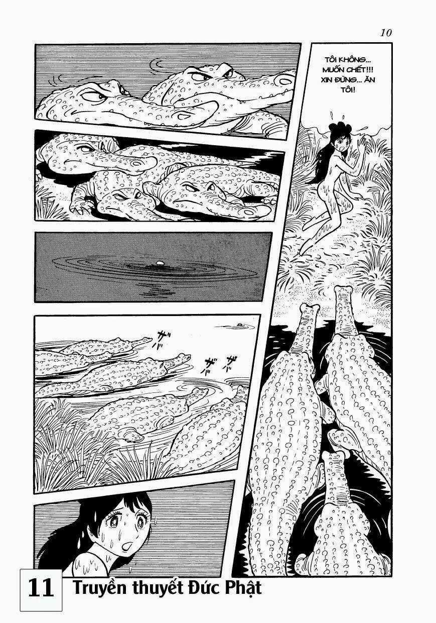 buddha - truyền thuyết đức phật chapter 50 10