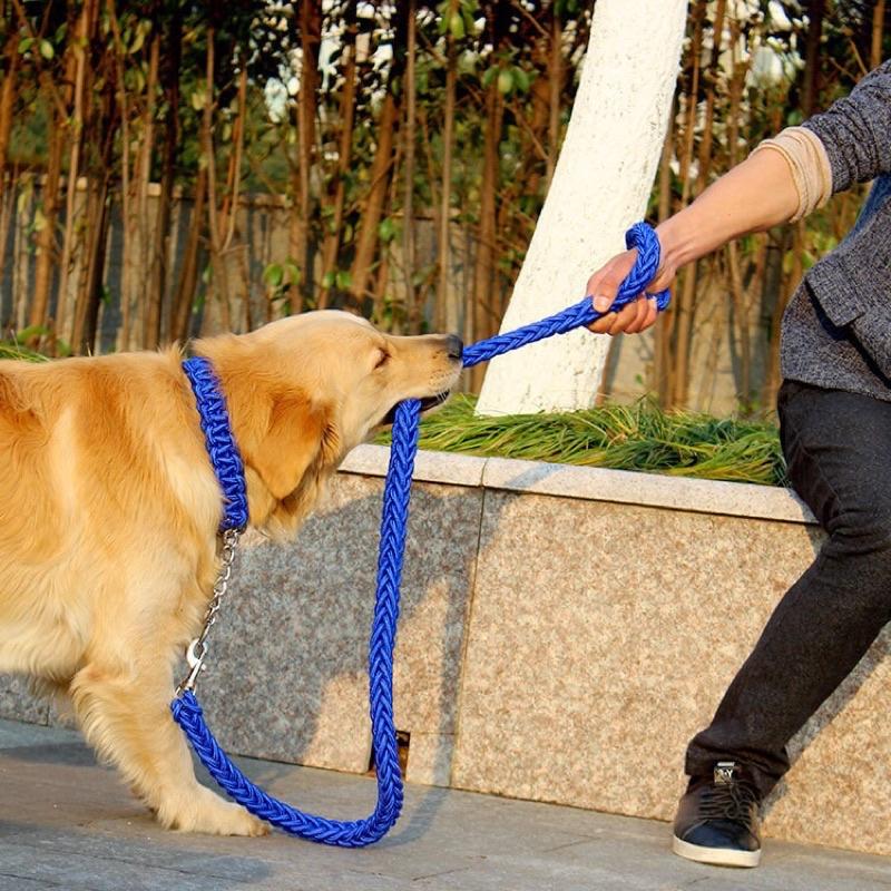Dây xích dắt chó to Bọc dù 8 sợi vặn thừng chắc khỏe