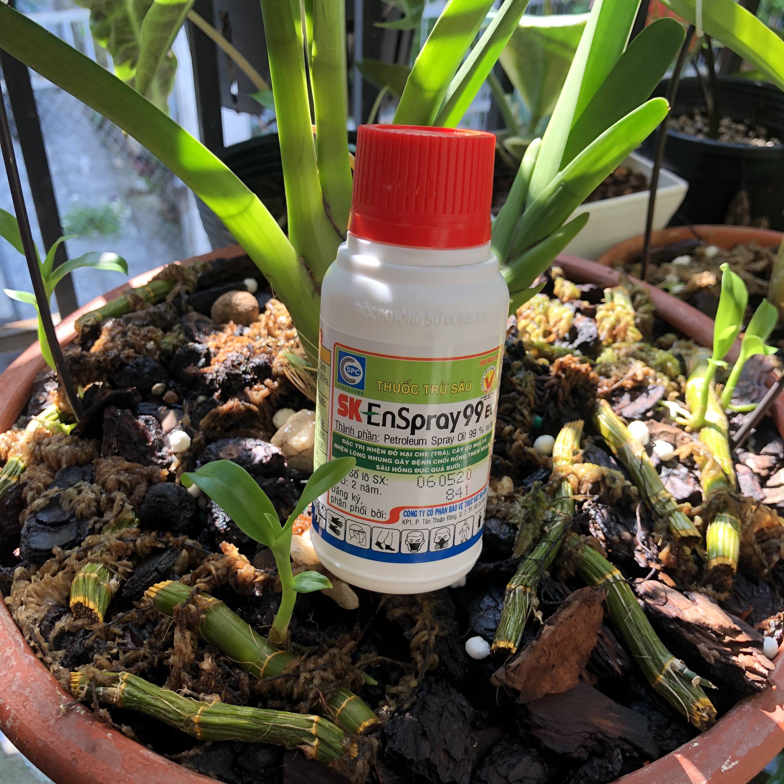 DẦU KHOÁNG SK EnSpray 99EC Đặc trị nhện đỏ cồn trùng