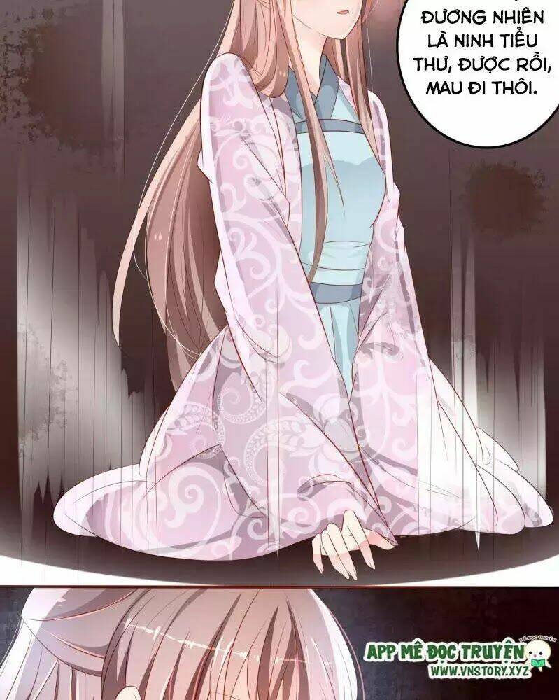 trọng sinh đế phi: quyền khuynh thiên hạ chapter 2 29