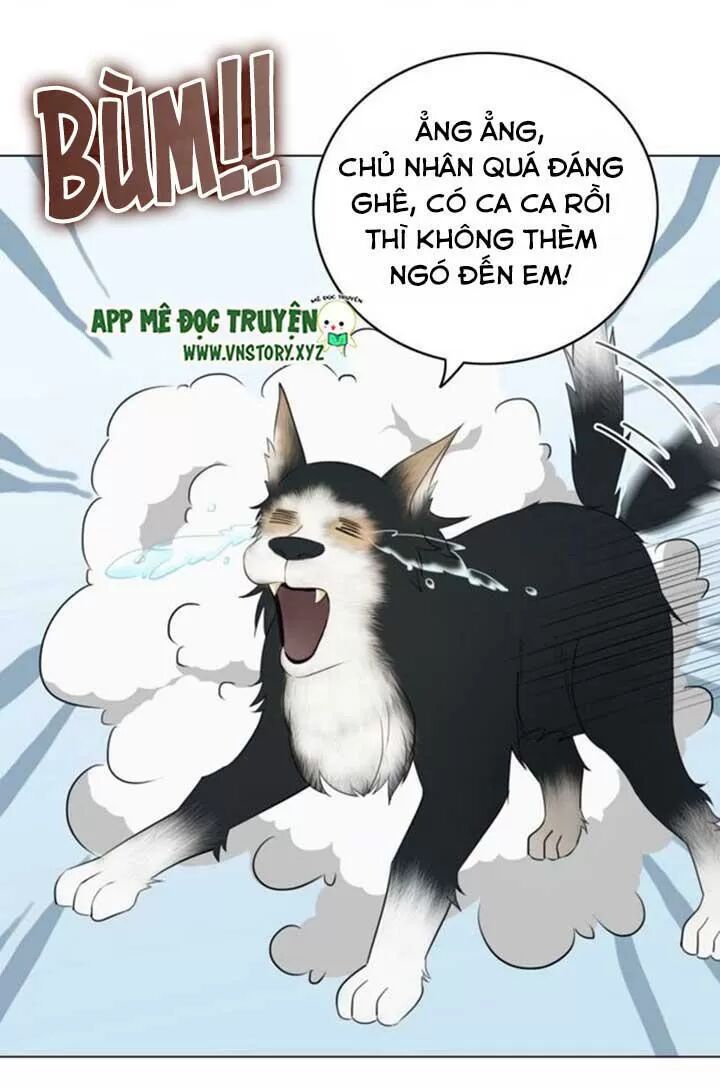 cực phẩm phế vật tiểu thư chapter 58 4