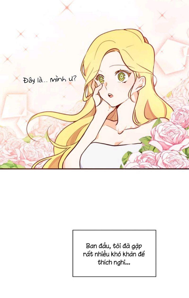 đi theo dấu vụn bánh chapter 1 37