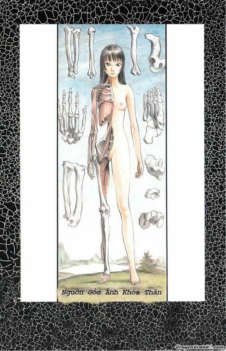 the garden chapter 1 6