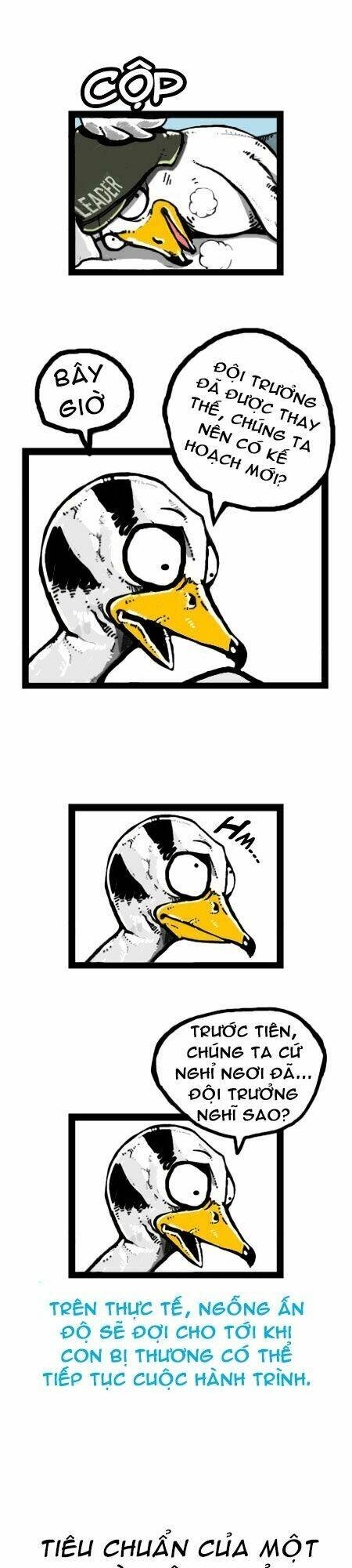 earth, human, and animal chapter 18 20