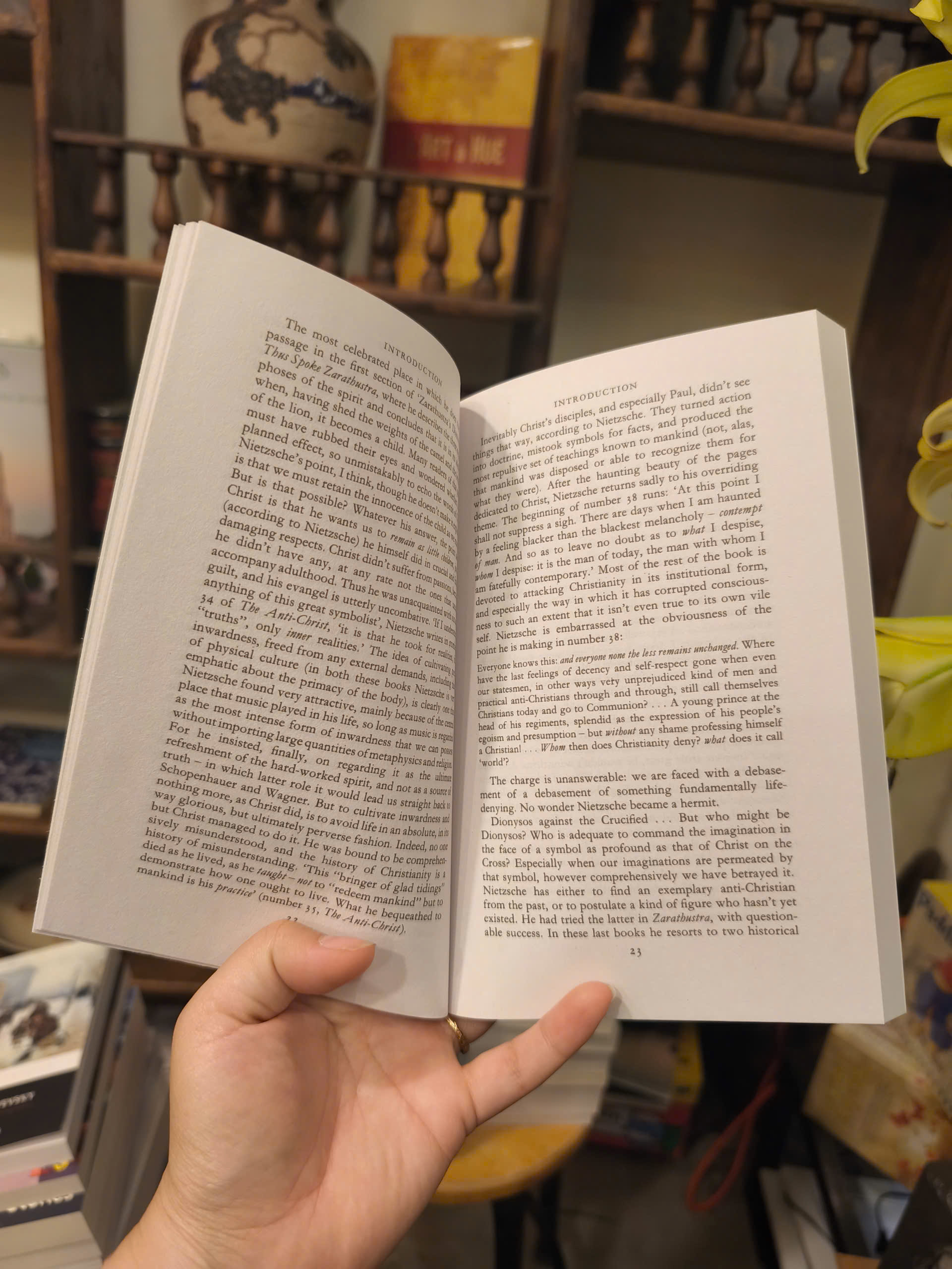 Sách - Twilight of the Idols &amp; The Anti-Christ by Friedrich Nietzsche | Philosophy / Ngoại văn