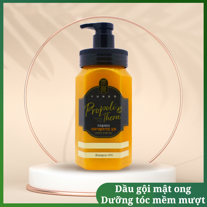 Dầu gội mật ong Yungo Propoli Thern Shampoo cô đặc, sạch gàu, kích thích mọc tóc, giảm rụng tóc 500ml