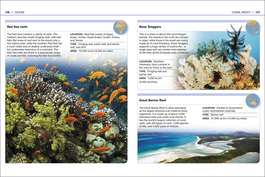 Pocket Eyewitness Earth