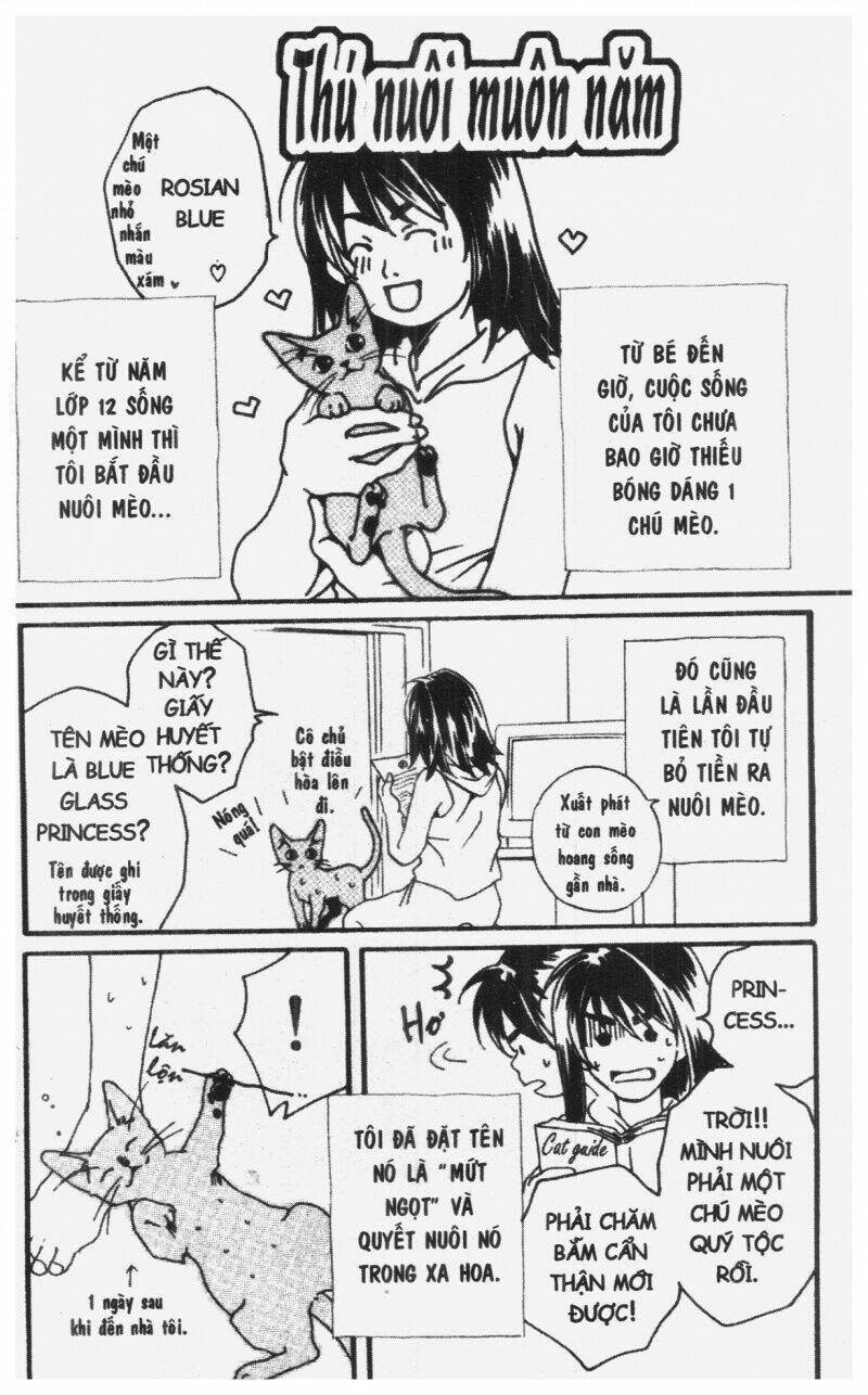 diamond head chapter 2 184