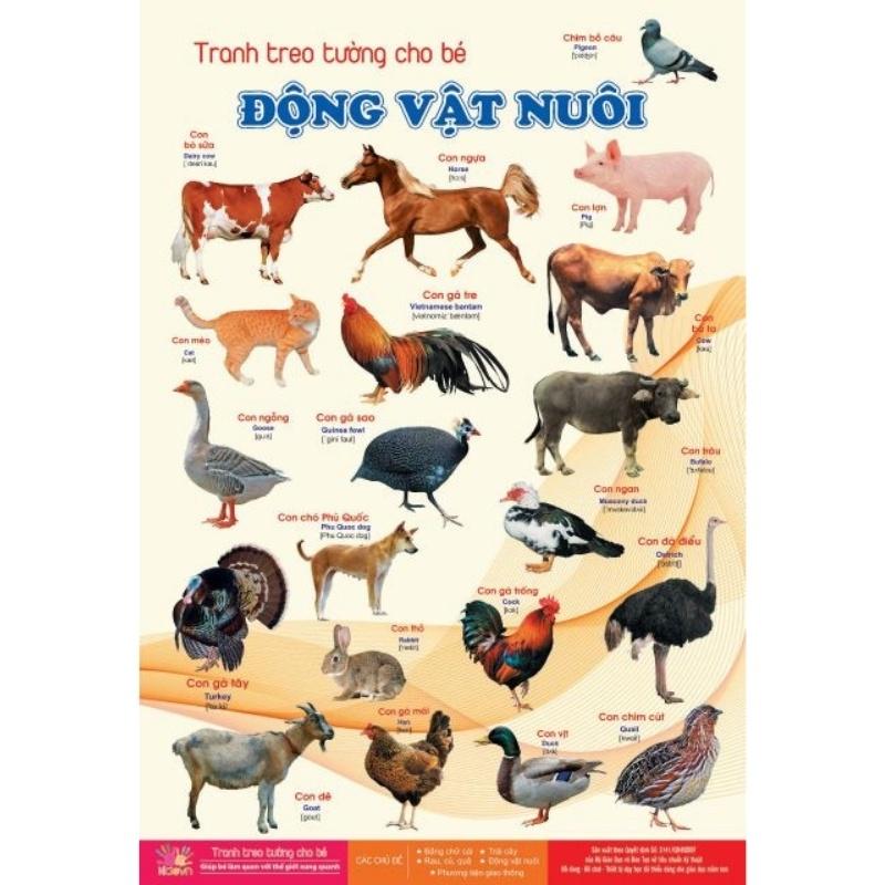 Bộ Tranh Treo Tường 14 Chủ Đề Về Thế Giới Xung Quanh Cho Bé Từ 1-5 Tuổi Đa Dạng Chủ Đề Tăng Khả Năng Nhận Biết Cho Trẻ