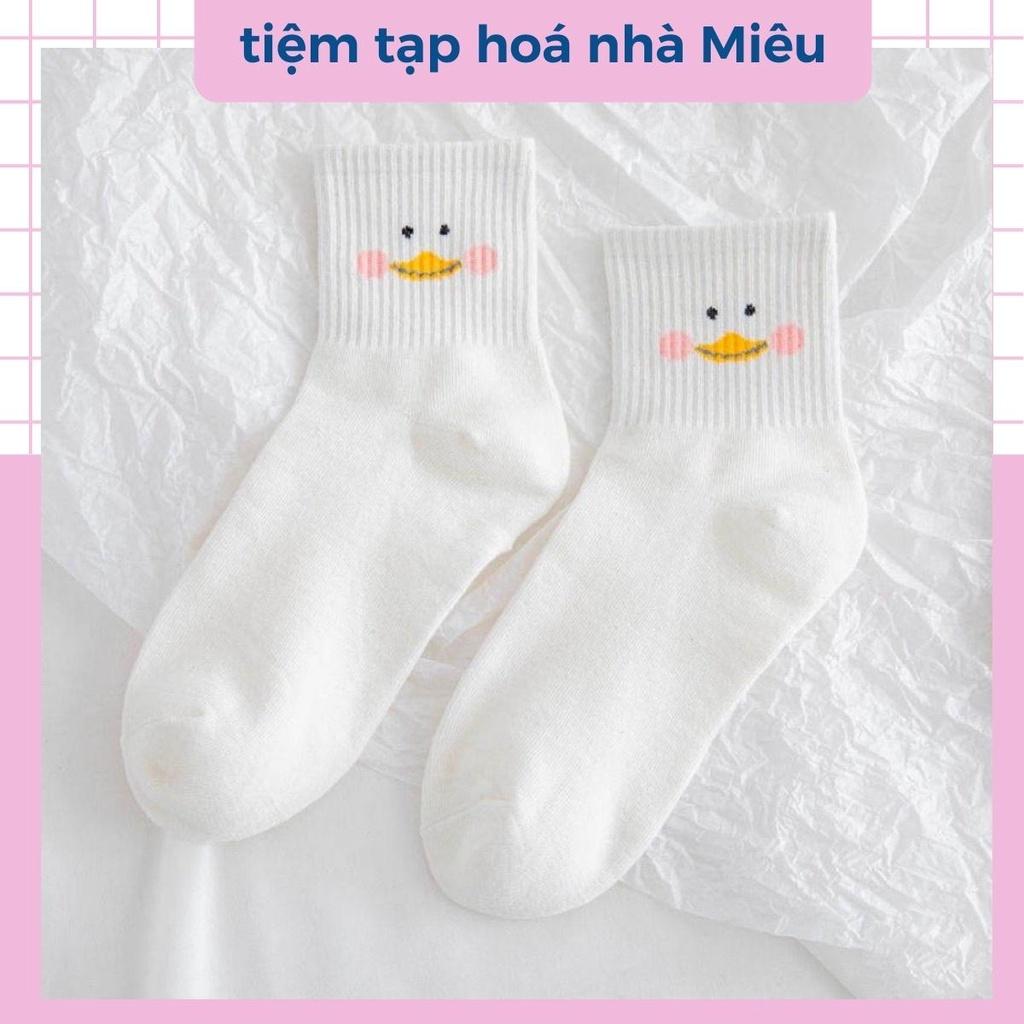 Tất nữ cổ ngắn chất liệu cotton co giãn bốn chiều, set vớ dễ thương - tiệm tạp hoá nhà Miêu