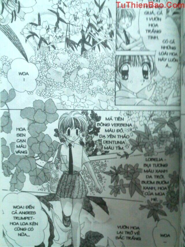 nguyện ước dưới ánh sao chapter 2 56