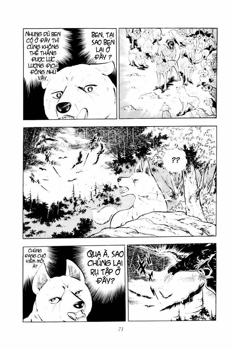 chú chó có nghĩa - ginga nagareboshi gin chapter 32.1 25