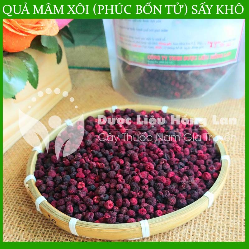 500G Phúc Bổn Tử (Quả Mâm Xôi) sấy khô thượng hạng loại 1