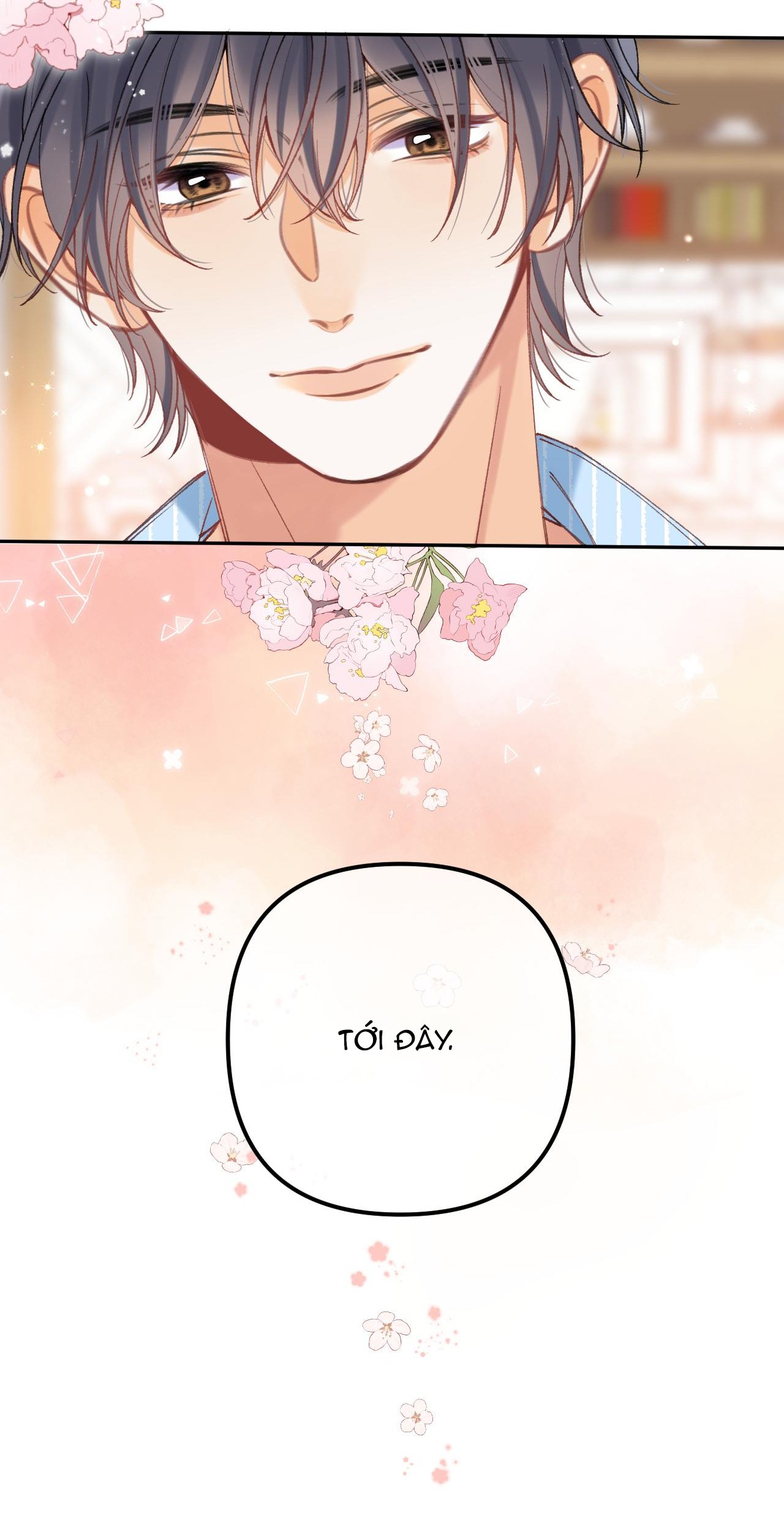 vụng trộm không thể giấu - mối tình thầm kín chapter 115.2 12