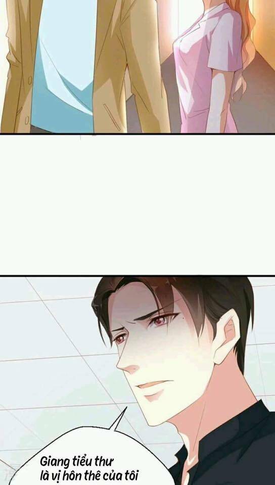 người vợ bí ẩn của tổng tài chapter 15 13